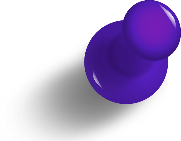 pin